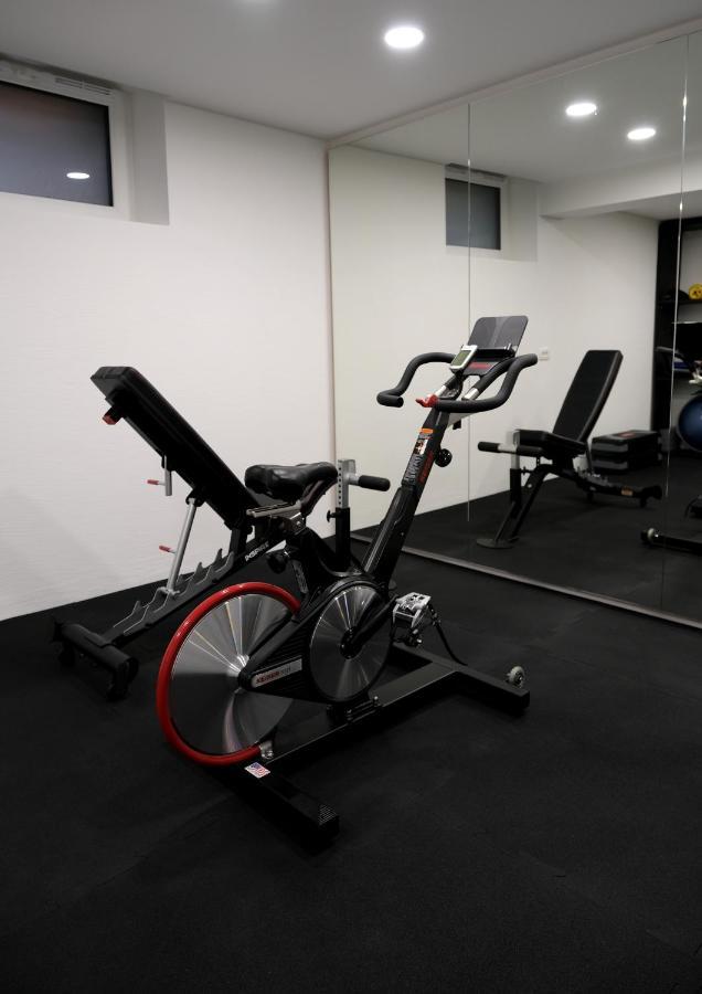 Emona Free Parking & Gym Apartment